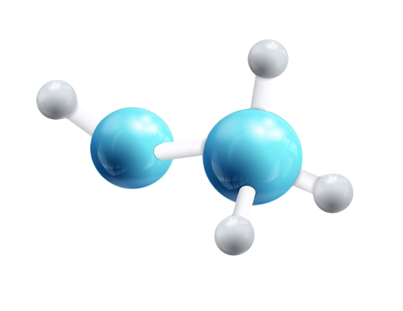 Kava Chemical Composition